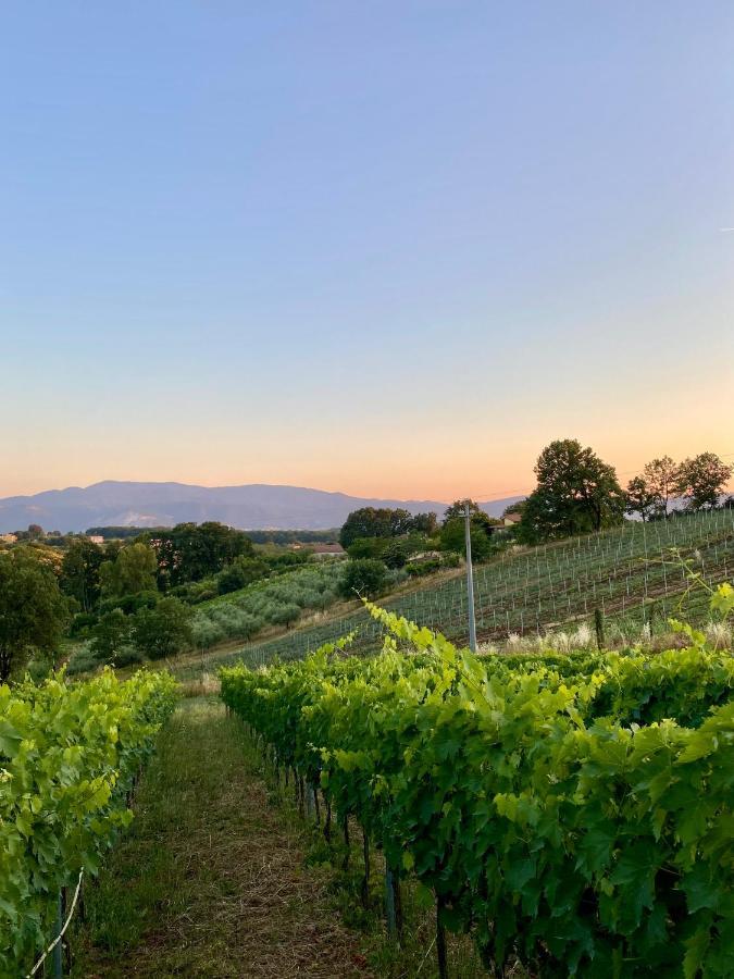 Donna Vittori - Borgo Agricolo Aparthotel Paliano Exteriör bild