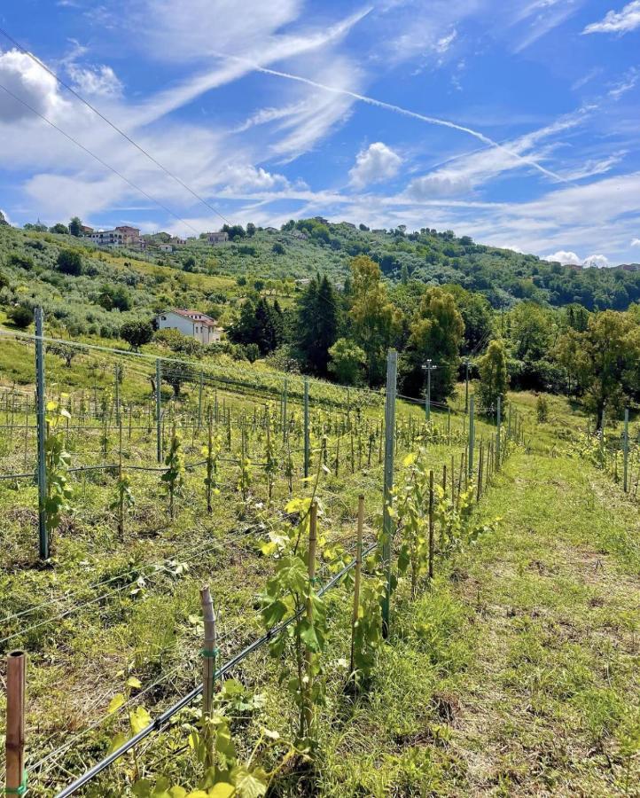Donna Vittori - Borgo Agricolo Aparthotel Paliano Exteriör bild