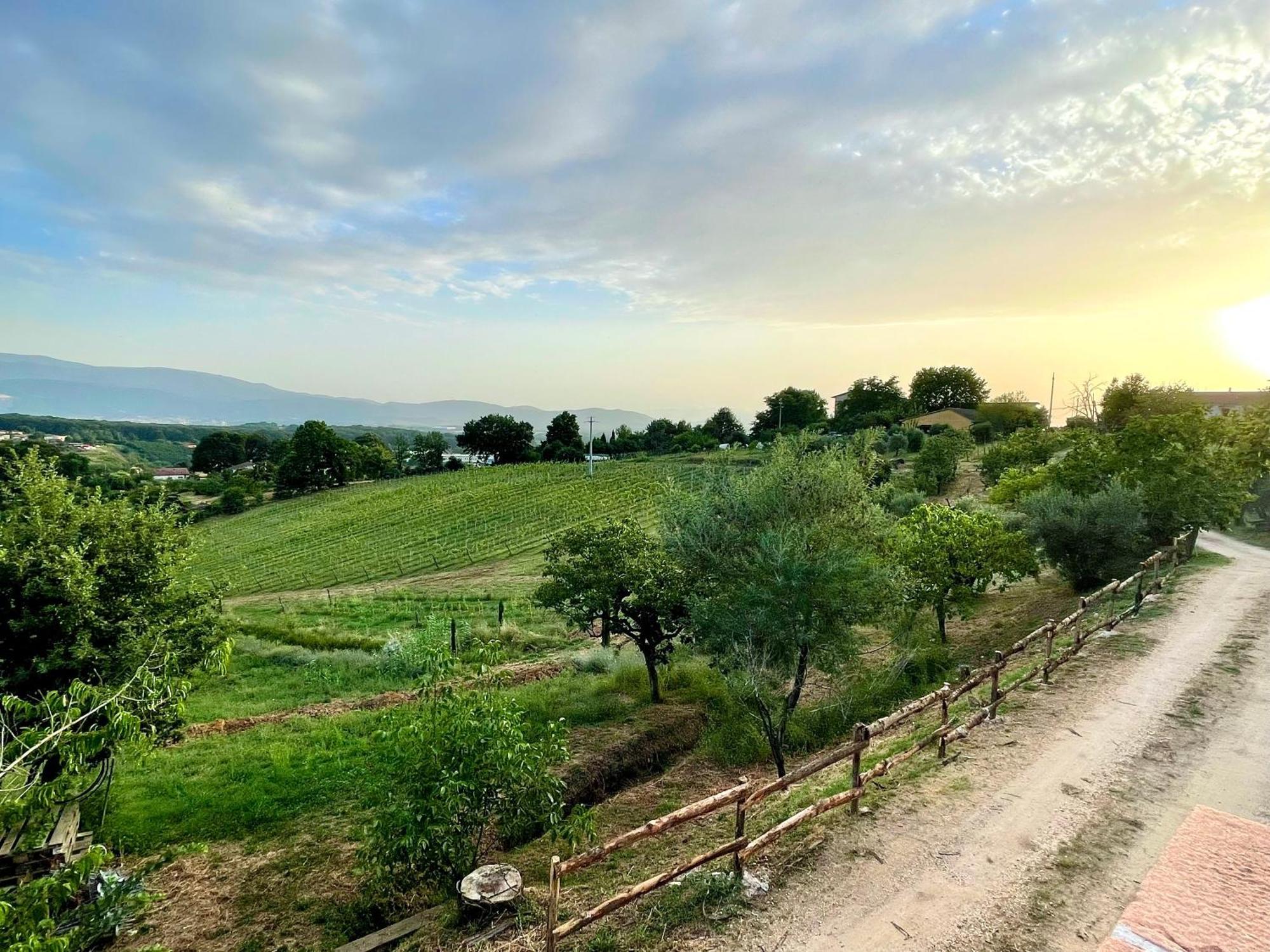 Donna Vittori - Borgo Agricolo Aparthotel Paliano Exteriör bild